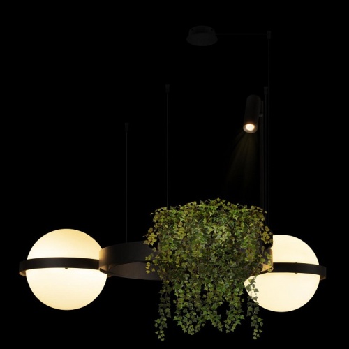 Подвесной светильник Loft it Jardin 10121/2 в Нижнем Новгороде фото 4