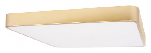 Накладной светильник Loft it Flims 10228/D в Нижнем Новгороде фото 4