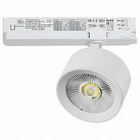 Светильник на штанге Lightstar Alta Pro A5546TRIAC в Нижнем Новгороде