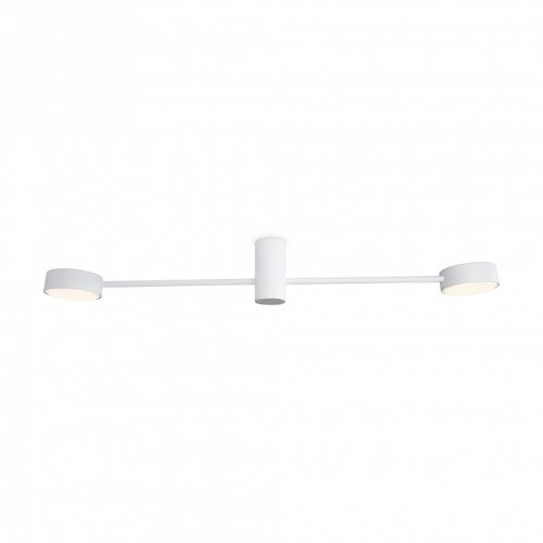 Накладной светильник Freya Tactic FR5363CL-02W1 в Нижнем Новгороде фото 5