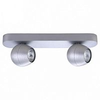 Спот Arte Lamp Sfera A5781AP-2SS в Нижнем Новгороде