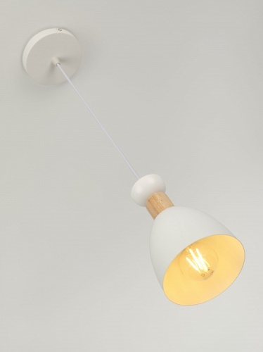 Подвесной светильник Rivoli  5109-201 в Нижнем Новгороде фото 6