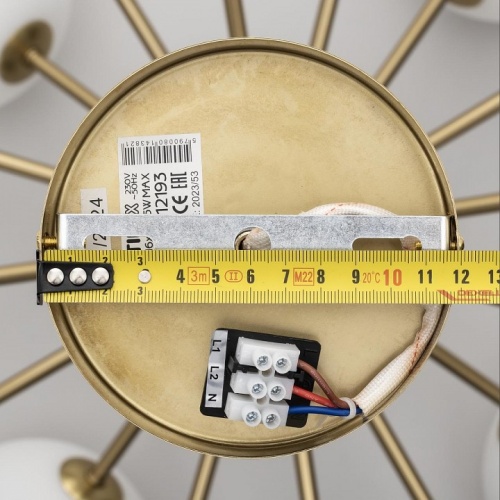 Люстра на штанге Citilux Tonga CL212193 в Нижнем Новгороде фото 11