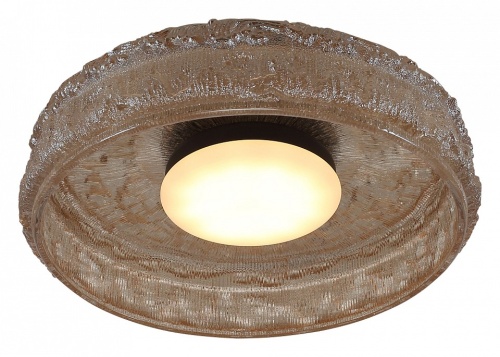 Накладной светильник ST-Luce ANTIKE SL6143.422.01 в Нижнем Новгороде фото 3