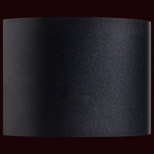 Накладной светильник Lightstar Dalla 340547 в Нижнем Новгороде фото 2