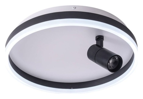 Накладной светильник Zortes Raizy ZRS.1888.03 в Нижнем Новгороде фото 8