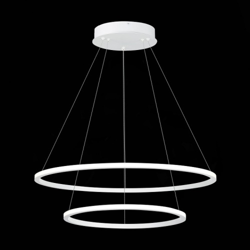 Подвесной светильник ST-Luce ST604 OUT ST604.543.56 в Нижнем Новгороде фото 3