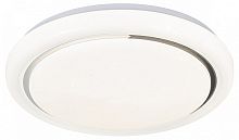 Накладной светильник Escada  10227/S LED APP в Нижнем Новгороде