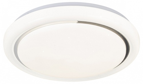 Накладной светильник Escada  10227/S LED APP в Нижнем Новгороде