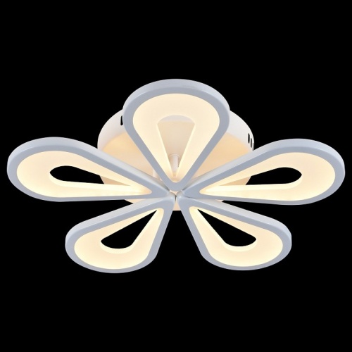 Потолочная люстра Escada Kamille 10206/5LED White в Нижнем Новгороде фото 2