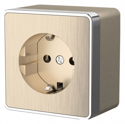 Розетка с заземлением Werkel Gallant (шампань рифленый) W5071010 в Нижнем Новгороде