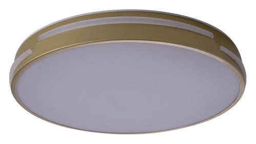 Накладной светильник Zortes Gabby ZRS.90610.40 в Нижнем Новгороде