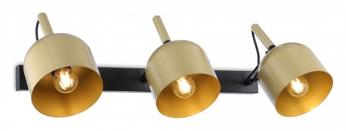 Бра Ambrella Light TR TR97109 в Нижнем Новгороде