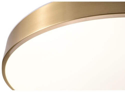 Накладной светильник Zortes Monna ZRS.1209.12 в Нижнем Новгороде фото 4