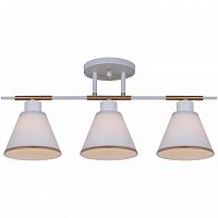 Люстра на штанге  07594-0.3-03 WG в Нижнем Новгороде