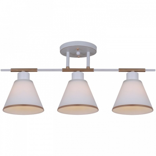 Люстра на штанге  07594-0.3-03 WG в Нижнем Новгороде