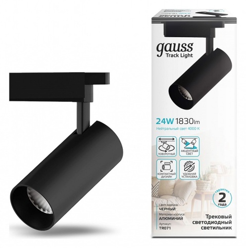 Светильник на штанге Gauss TR TR071 в Нижнем Новгороде фото 5