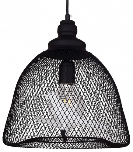 Подвесной светильник Favourite Gabbia 1752-1P в Бородино