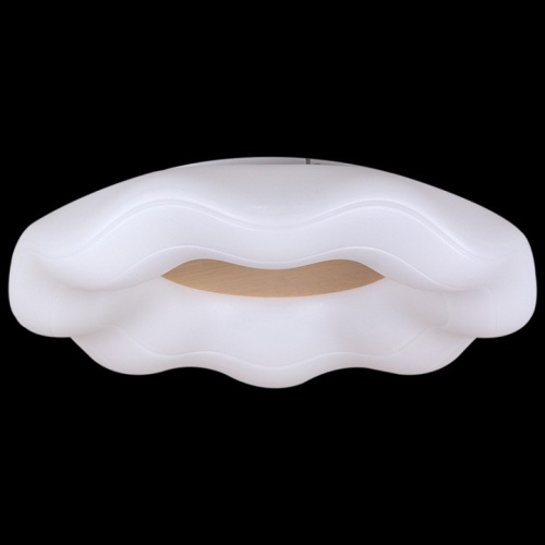 Накладной светильник 01029-0.3-01 WOOD в Нижнем Новгороде фото 2