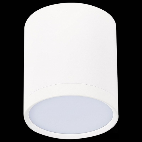 Накладной светильник ST-Luce Rene ST113.532.05 в Нижнем Новгороде фото 5