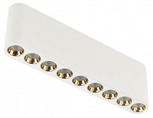 Накладной светильник Odeon Light Small 7091/21CL в Нижнем Новгороде