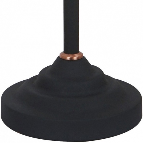 Настольная лампа офисная Arte Lamp Braccio A2054LT-1BK в Нижнем Новгороде фото 2