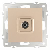 ТВ-розетка без рамки Arte Milano am-206 206.43-1.shampan в Нижнем Новгороде