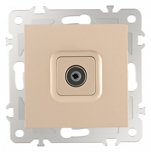ТВ-розетка без рамки Arte Milano am-206 206.43-1.shampan в Нижнем Новгороде