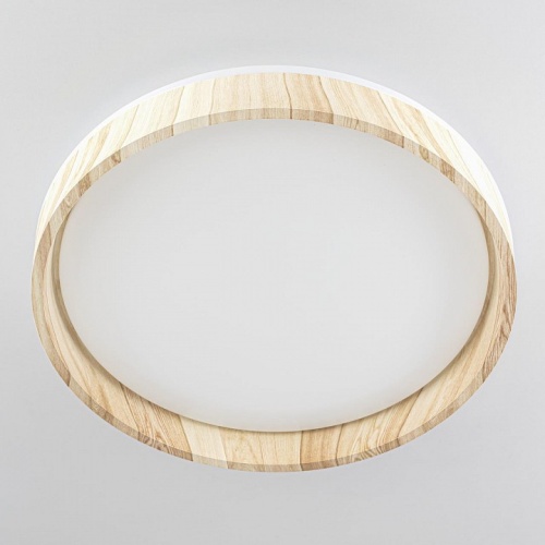 Накладной светильник Citilux ENZO CL753352G в Нижнем Новгороде фото 11