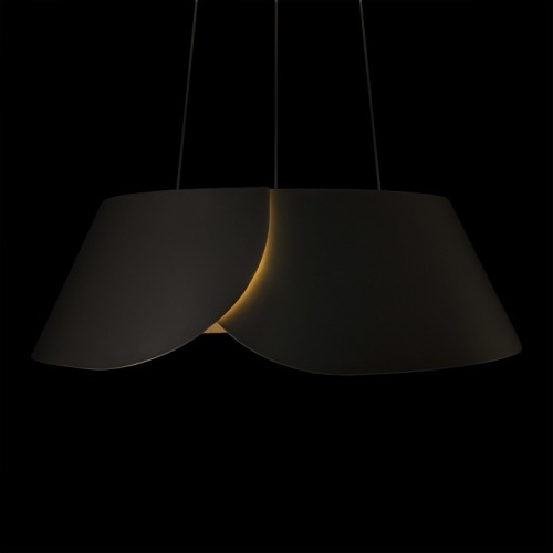 Подвесной светильник Loft it Lane 10370P Black в Нижнем Новгороде фото 4