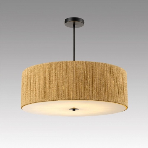 Светильник на штанге Lumion SILVANA 8286/7 в Нижнем Новгороде фото 3