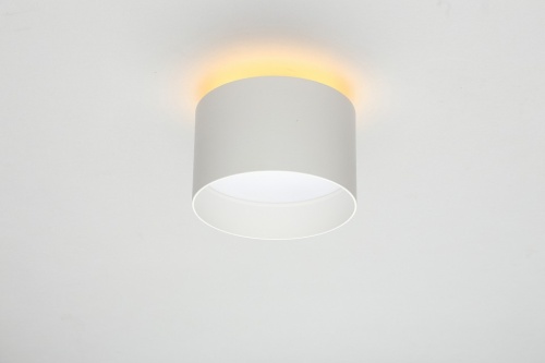 Накладной светильник Omnilux Stezzano OML-100419-16 в Нижнем Новгороде фото 5