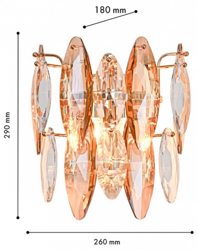 Накладной светильник Favourite Glans 4719-2W в Нижнем Новгороде фото 2