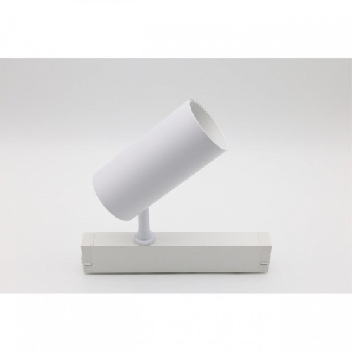 Светильник на штанге Aployt Magnetic track 220 APL.0205.10.20 в Нижнем Новгороде фото 3