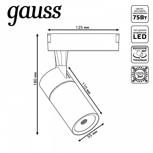 Светильник на штанге Gauss Track Light TR059 в Нижнем Новгороде фото 2