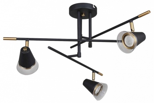 Люстра на штанге F-promo Trandy 4618-3C в Нижнем Новгороде