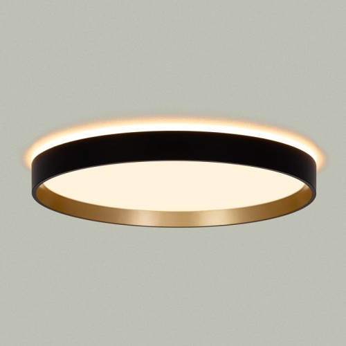 Накладной светильник Citilux ETALON CL750321R в Нижнем Новгороде фото 7