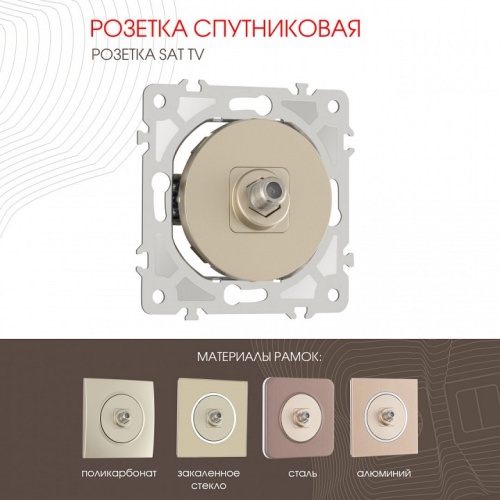 ТВ-розетка без рамки Arte Milano am-202 202.42-1.shampan в Нижнем Новгороде фото 7