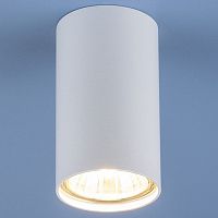 Накладной светильник Elektrostandard 1081 a037712 в Нижнем Новгороде