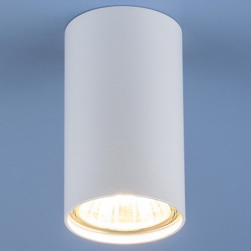 Накладной светильник Elektrostandard 1081 a037712 в Нижнем Новгороде