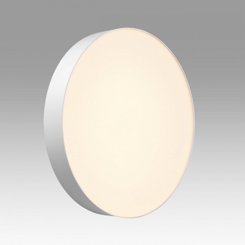 Накладной светильник Sonex BASICA 7779/ELN в Нижнем Новгороде фото 6