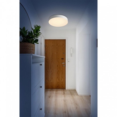 Накладной светильник Sonex BASICA 7779/ELN в Нижнем Новгороде фото 2