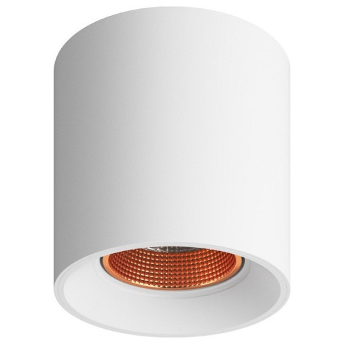 Накладной светильник Denkirs DK3040 DK3090-WBR в Нижнем Новгороде фото 3