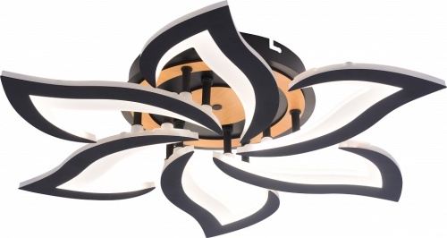 Люстра на штанге Rivoli Cassandra 6194-733 в Нижнем Новгороде фото 2