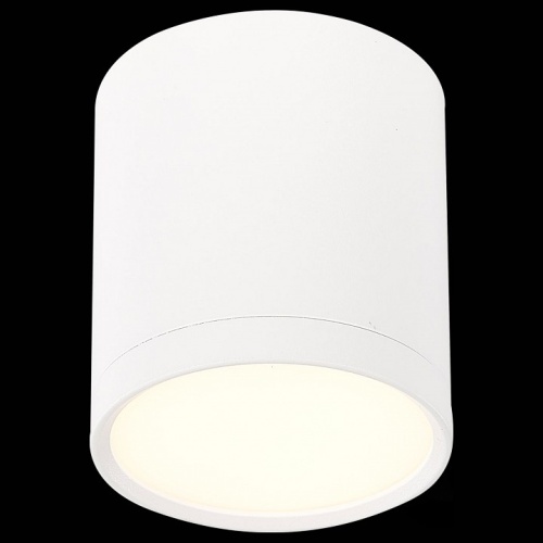 Накладной светильник ST-Luce Rene ST113.532.05 в Нижнем Новгороде фото 4