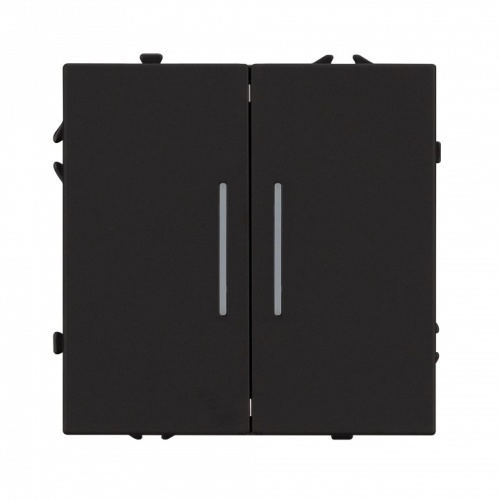 Выключатель двухклавишный без рамки Arlight SWT 054264 в Нижнем Новгороде фото 3