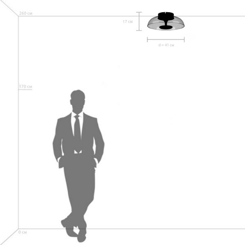 Накладной светильник Lightstar Celesta 809200 в Нижнем Новгороде фото 8