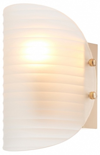 Накладной светильник Rivoli Mariana Б0066487 в Нижнем Новгороде фото 2