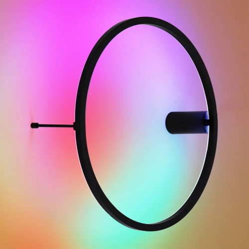 Накладной светильник Odeon Light Omen 4386/24WL в Нижнем Новгороде фото 2