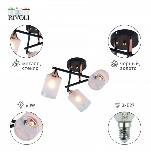 Люстра на штанге Rivoli Fiona Б0059259 в Нижнем Новгороде фото 3